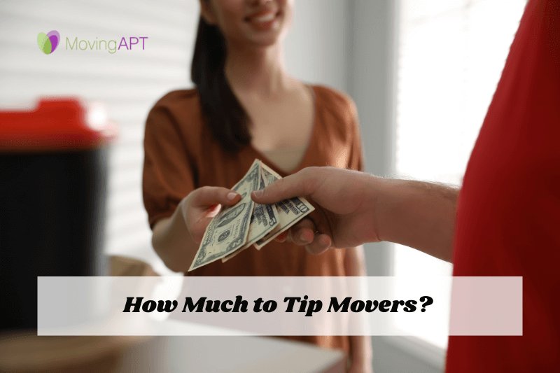 How much to tip movers - Moving APT