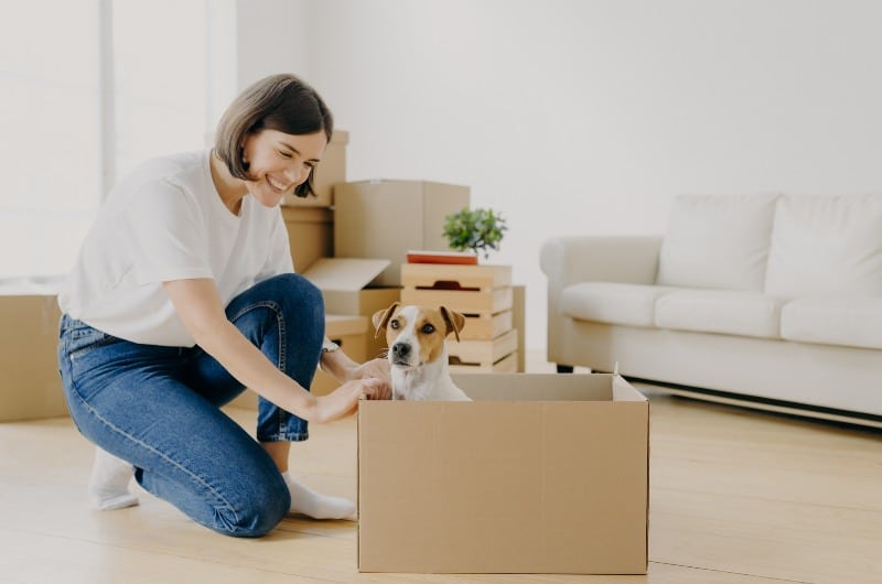 Moving Tips For Pet Owners