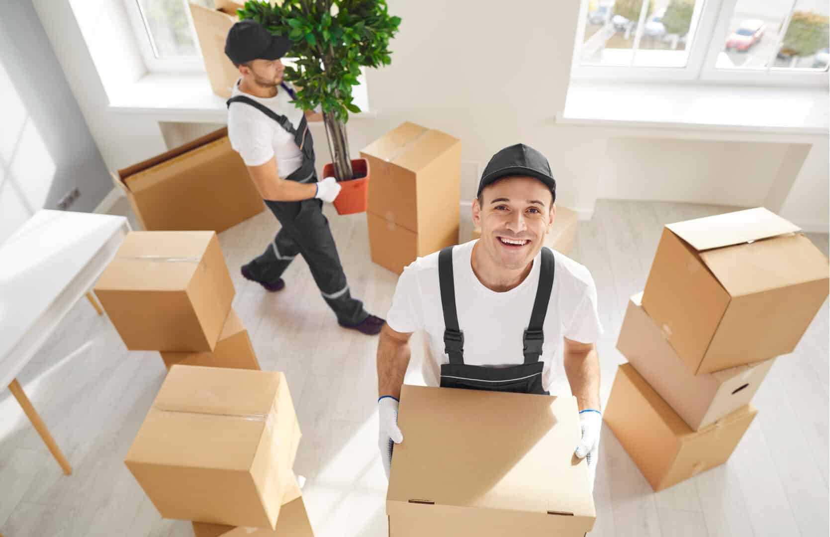Local Moving Services by McKinney Movers