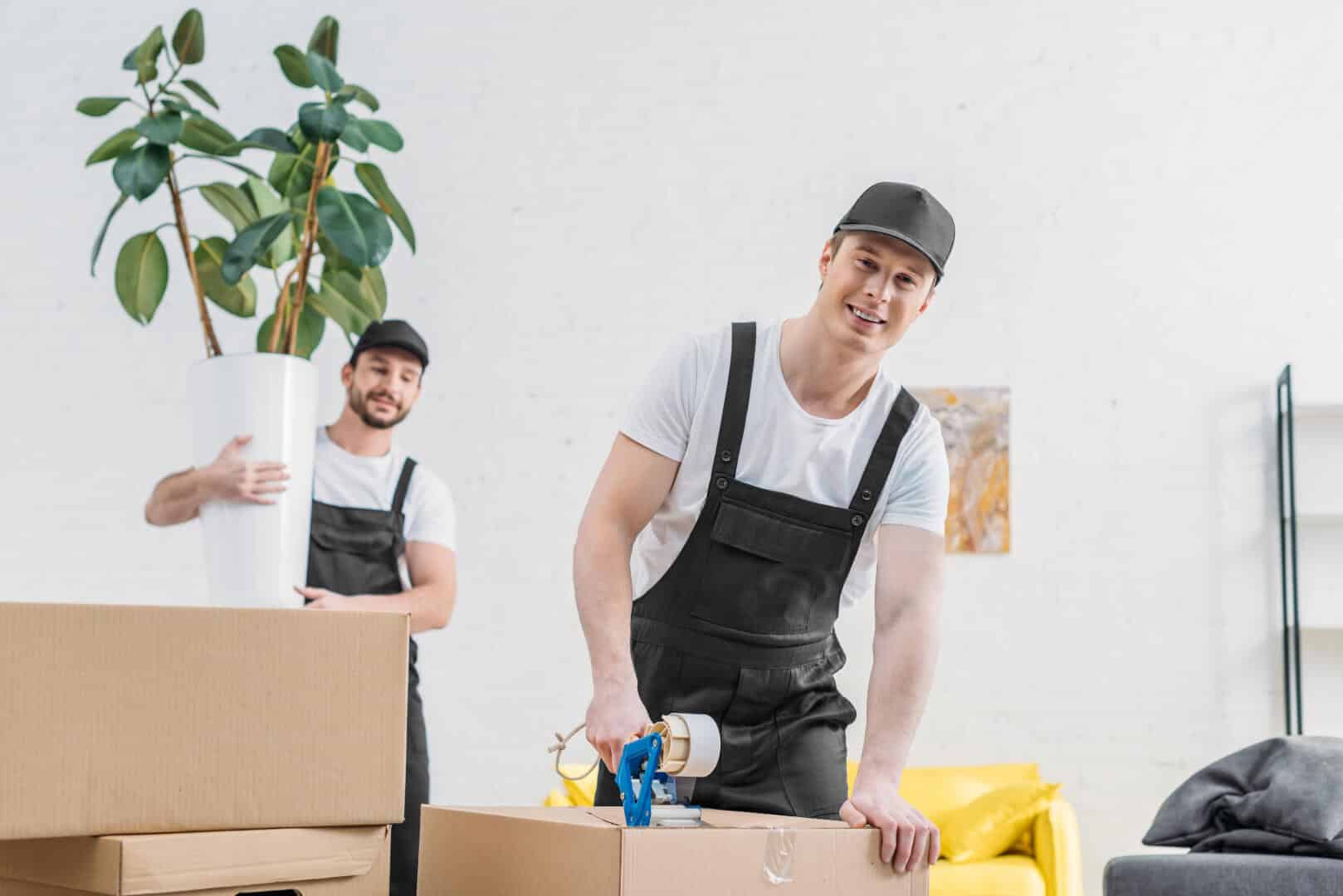 Packing Services By Clearwater Movers